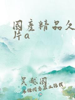 国产精品久久毛片a