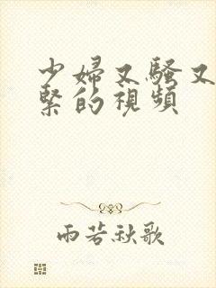 少妇又骚又爽又紧的视频