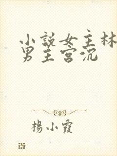 小说女主林知意男主宫沉