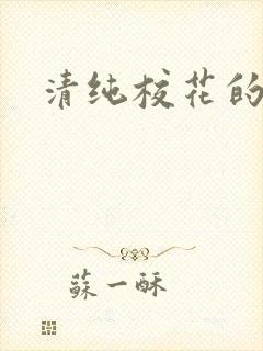 清纯校花的被