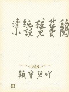 清纯校花的秘密小说免费阅读全文