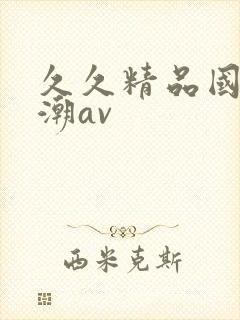 久久精品国产高潮av