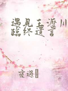 遇见王沥川小秋临终遗言