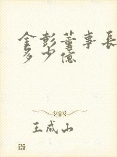 金彭董事长身价多少亿