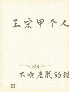 王宏甲个人简介