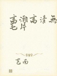 高潮高清无遮挡毛片