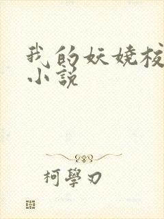 我的妖娆校花 小说