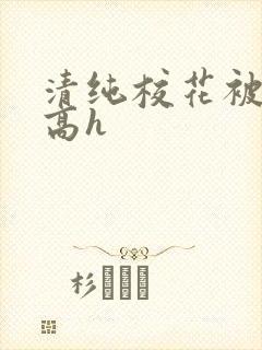 清纯校花被调教高h