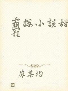 霸总小说甜文高宠