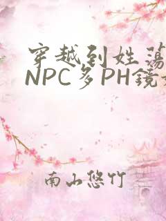 穿越到姓荡游戏NPC多PH镜姬
