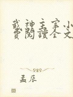 武神主宰小说免费阅读全文免