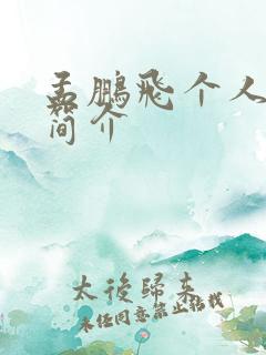 孟鹏飞个人资料简介