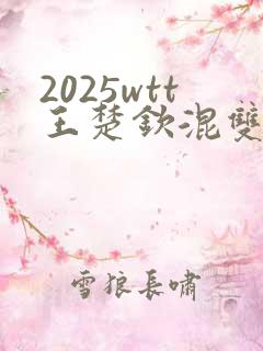 2025wtt王楚钦混双决赛回放