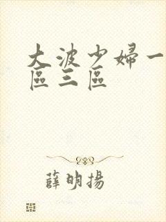 大波少妇一区二区三区