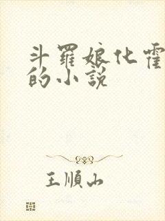 斗罗娘化霍雨浩的小说