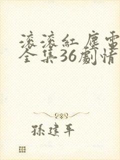 滚滚红尘电视剧全集36剧情