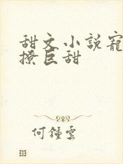 甜文小说宠文巨撩巨甜