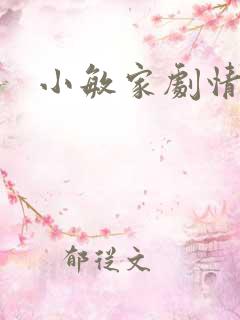 小敏家剧情介绍