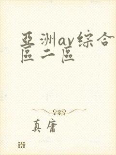 亚洲av综合一区二区