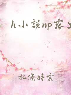 h小说np露出