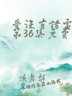 爱没有错电视剧第36集免费观看