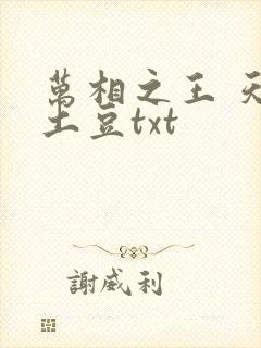 万相之王 天蚕土豆txt