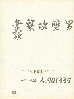 爹系攻双男主小说