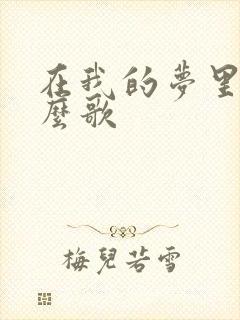 在我的梦里是什么歌