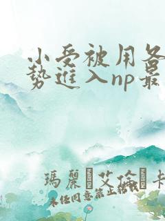 小受被用各种姿势进入np最新章节