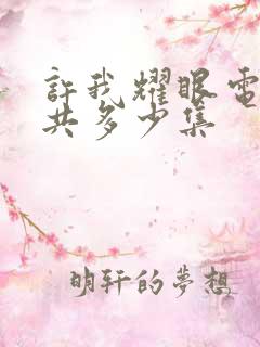 许我耀眼电视剧共多少集