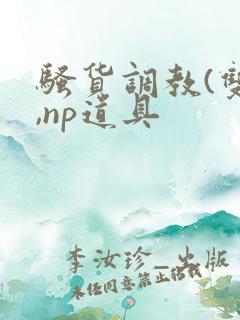 骚货调教(双性,np道具
