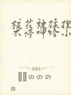 校花被揉捏两乳不停呻吟小说