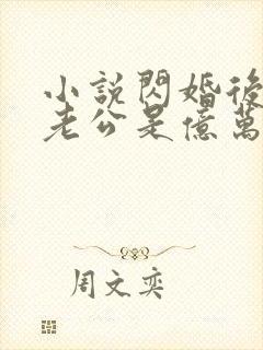 小说闪婚后发现老公是亿万富豪大结局