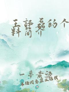 王译磊的个人资料简介