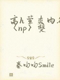 高h荤爽肉欲文〈np〉双