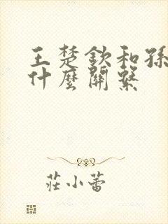 王楚钦和孙颖莎什么关系