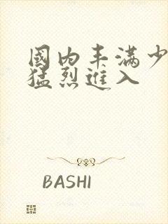 国内丰满少妇被猛烈进入