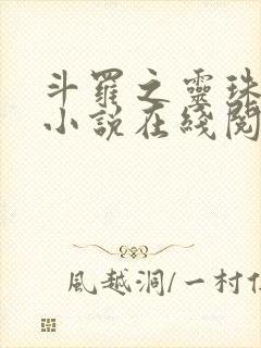 斗罗之灵珠神剑小说在线阅读