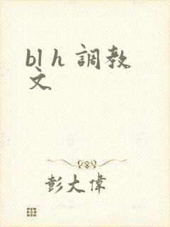 bl h 调教文