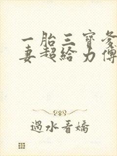 一胎三宝爹地宠妻超给力傅