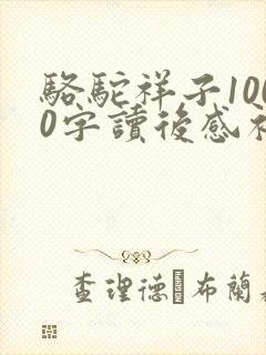 骆驼祥子1000字读后感初一