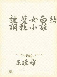 被魔女白丝玉足调教小说