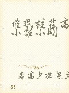 催眠校花高小柔小说小刚