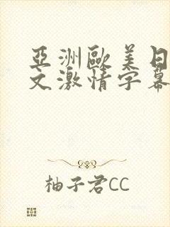 亚洲欧美日韩中文激情字幕