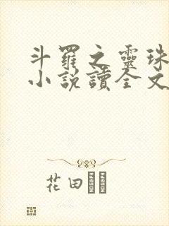 斗罗之灵珠神剑小说读全文阅读