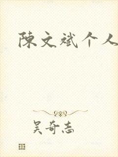 陈文斌个人简介