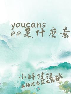 youcansee是什么意思中文翻译