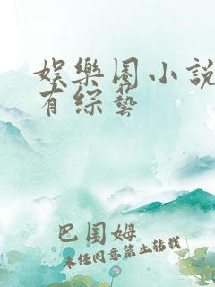 娱乐圈小说推荐有综艺