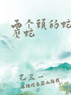 两个头的蛇叫什么蛇