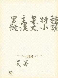 男主是特种兵的糙汉文小说